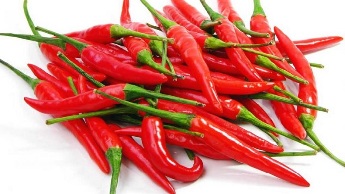 The cayenne pepper in the composition of the Flekosteel