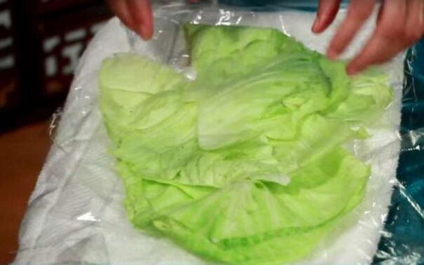 Cabbage compress for pain caused by osteoarthritis of the shoulder joint. 